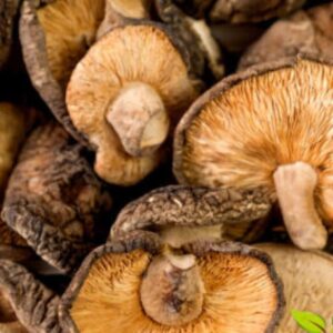 Reishi – 60 caps