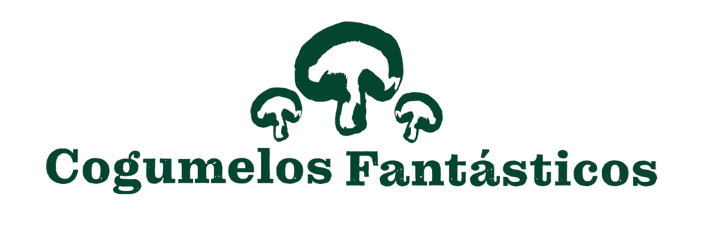 Cogumelos Fantásticos