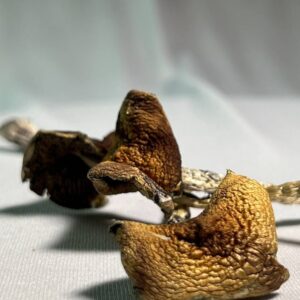 Golden Theather - 3 g